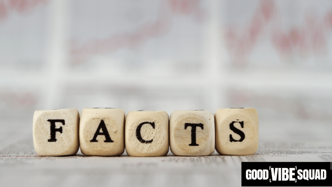 wooden blocks that spell out "facts" to represent surprising facts about loan officers